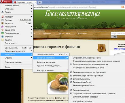 Opera безплатен браузър (тази функция можете) Opera браузър безплатно