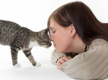 Дали едно лице е прехвърлено на акари за уши от котки заразност