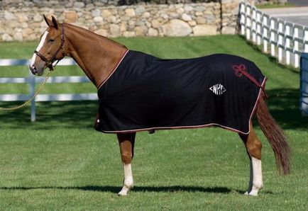 Одеяло за коне шият свои ръце