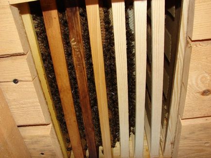 Предимства на съдържанието на загражденията на пчелните семейства