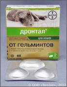 Общи хапчета за котки за червеи и препоръки за прилагането им