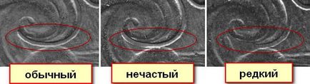Най-скъпите сувенири и възпоменателни монети на СССР - снимка и цена (качество) на Най-скъпите сувенири и възпоменателни монети на СССР - снимки и цени