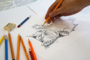 Училище рисунка откриете себе рисуване курсове за възрастни и деца, г-н (школа) Училище рисунка откриете себе рисуване курсове за възрастни и деца, г-н