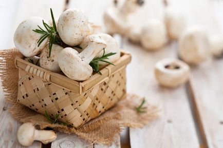 Какви продукти се комбинират гъби, хармонията на живота (гъби) Какви продукти се комбинират гъби, хармонията на живота