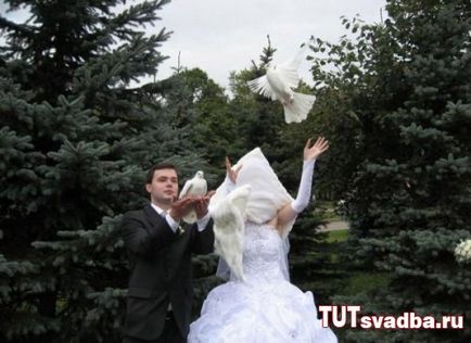 Сватбени премеждия - сватба портални тук Сватба