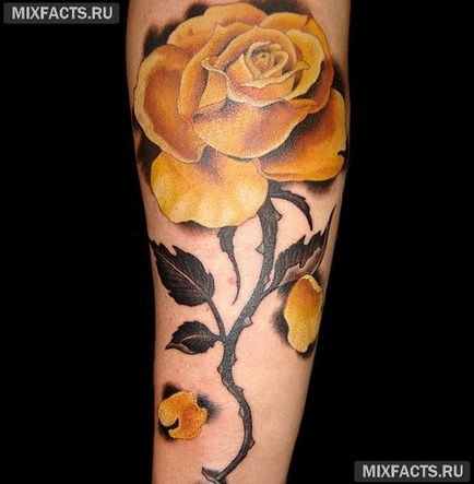 Rose татуировка значение и снимки