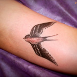 Bird татуировка означава, снимки, скици