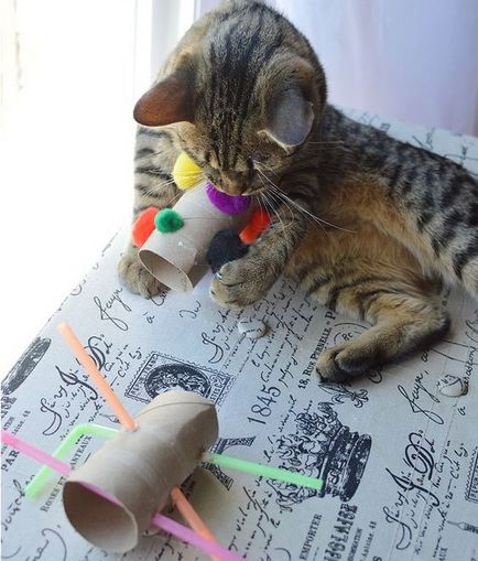 13 най-добрите играчки за котки, които могат бързо да бъдат направени на ръка