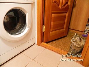 3 начина за почистване на пералната машина