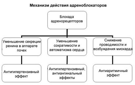 Блокери Какво има, видовете, списъкът на лекарства, които действат като