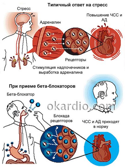 Блокери Какво има, видовете, списъкът на лекарства, които действат като