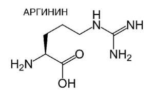 Аргинин - важна полза и вреда за тялото аминокиселини