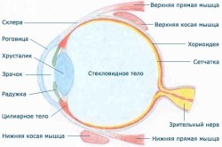 Болка в окото с налягане