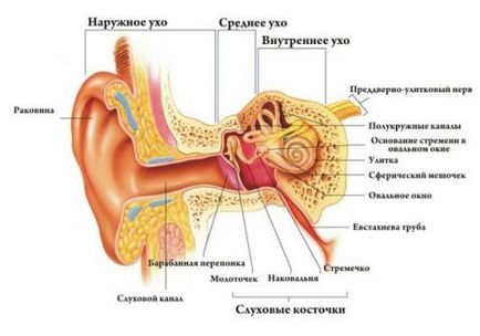 Болка в ухото при деца - причини за симптоми, за методите за лечение