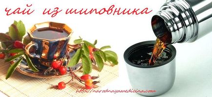 Dogrose чай рецепта и да използват блог Алена Кравченко