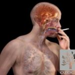 Цигарите могат да се сменят, когато затворете ozozh пушене