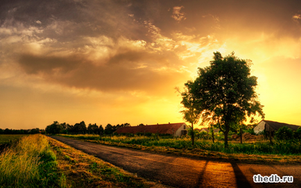 Какво е различен от булевард Avenue