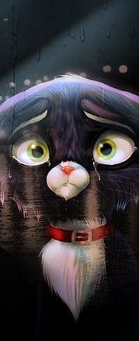 Черната котка (мозък на участника) () Черната котка (мозък на участника)