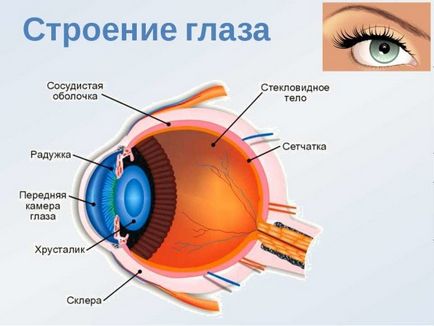 Какво е ретината ангиопатия причините и симптомите, лечението и профилактиката на патологично