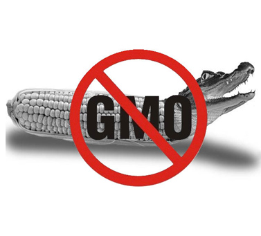 Какво е ГМО