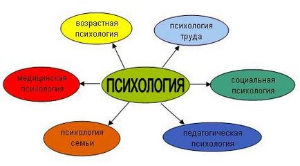 Каква е психологията, методите, видовете и основните индустрии, тенденции и изследвания в областта на психологията,