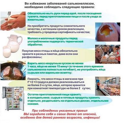 Какво е салмонелоза - както предава инкубационен период патоген, превенция на заболявания (такива) Какво е салмонелоза - как се прехвърля, инкубационен период на патогена, превенция на заболяванията
