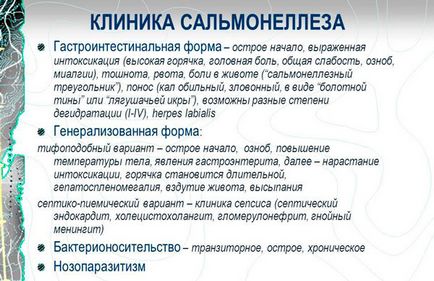 Какво е салмонелоза - както предава инкубационен период патоген, превенция на заболявания (такива) Какво е салмонелоза - как се прехвърля, инкубационен период на патогена, превенция на заболяванията