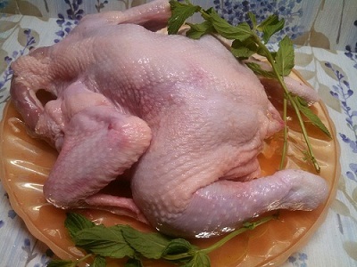 Пиле Tabaka - 4-популярната снимка готварски рецепти