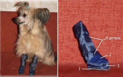 Правим обувки за кучето с ръцете си - модела и да им обясним