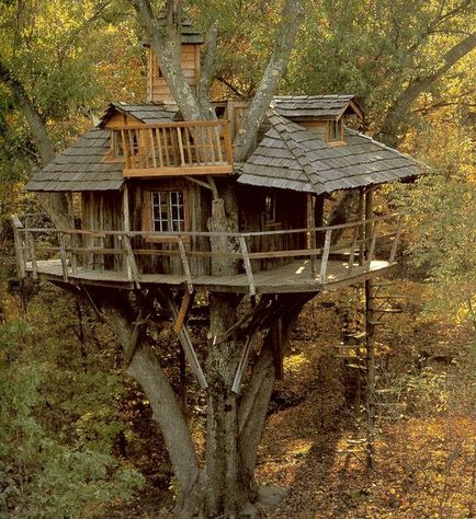 Tree House - 50 идеи, за да се превърнат в реалност