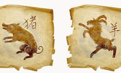 Dragon и козе съвместимост в любовта и брака хороскоп