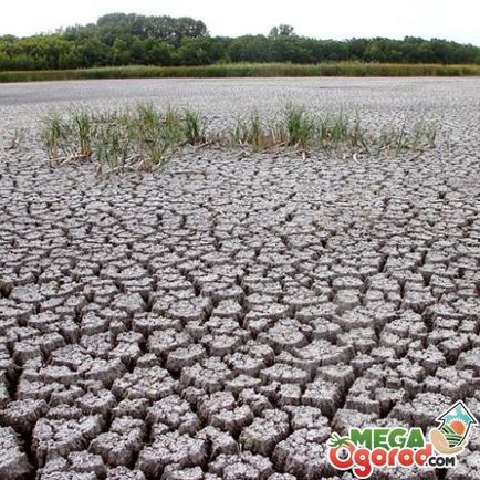 Ерозията на почвата води, видовете и начините на борба с ерозията