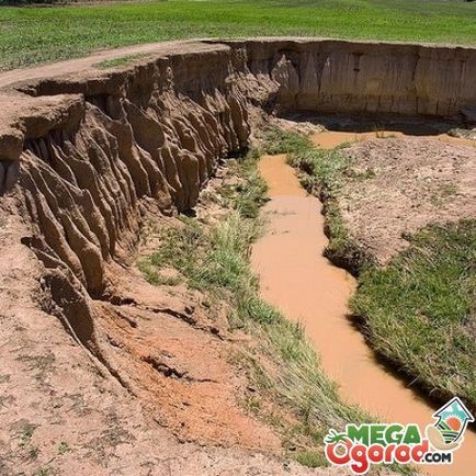 Ерозията на почвата води, видовете и начините на борба с ерозията