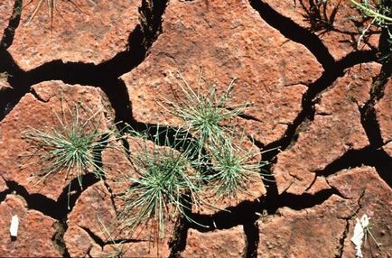 Ерозията на почвата от водна и ветрова ерозия, борба с ерозията