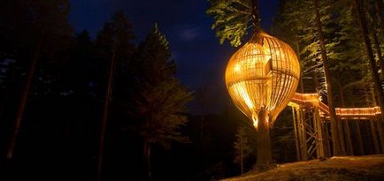 Nest за хората и за други невероятни дървесни къщи