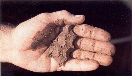 Sandy глинеста почва - какво е това
