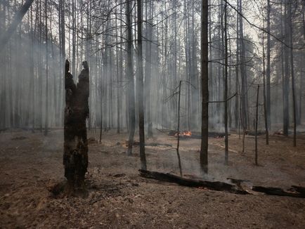 Изменението на климата е това, което очаква България - прогнози свят