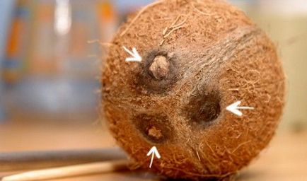 Как да се почисти с кокос и как да се раздели отворите кокосово у дома, LS