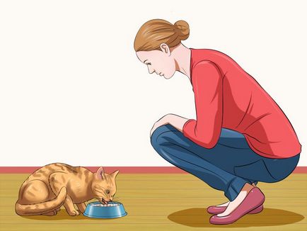 Как да се изгладят много нервна котка - vripmaster