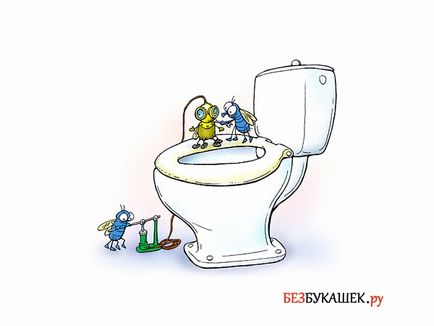 Как да се отървем от мухи в извън тоалетната (улица) Как да се отървем от мухи в извън тоалетната