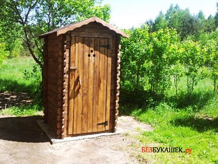 Как да се отървем от мухи в извън тоалетната (тоалетна) Как да се отървем от мухи в извън тоалетната