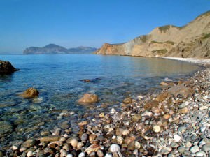 Как да хванеш скариди - където можете да хванете в Черно, Азовско море, а не само