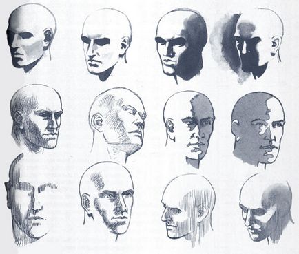 Как да се направи човешките пропорции на главата на главата и лицето
