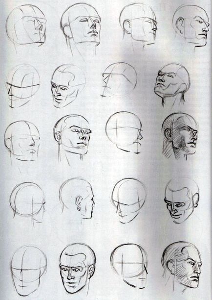 Как да се направи човешките пропорции на главата на главата и лицето
