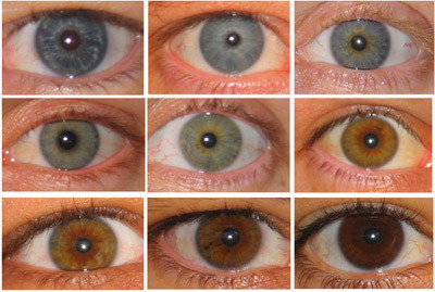 Какъв цвят са очите на лицето, всички опции в Фото