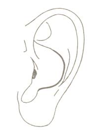 Как да се установи болестта на меката част на ухото