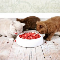 Как да прехвърля една котка на естествена храна - catstock
