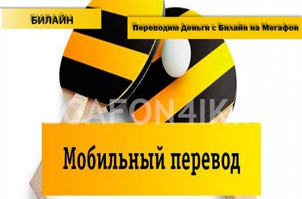 Как да прехвърля пари с мегафон на Beeline - инструкциите за прехвърляне на пари от Beeline мегафон