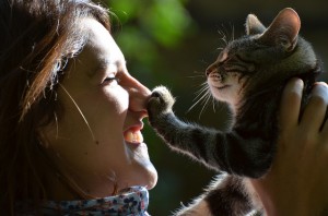 Как да разбираме езика, чудо котка на котката