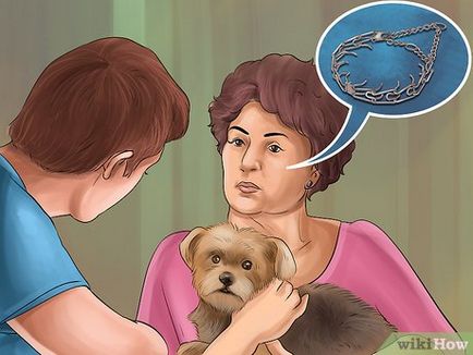 Как да използвате строг нашийник за кучета
